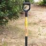 Carbon Steel D-Handle Border Fork