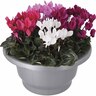 Supreme Flowering Patio Planter