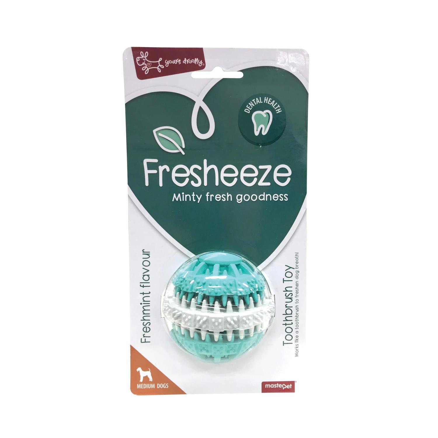 Freshmint Toothbrush Ball Dog Toy M
