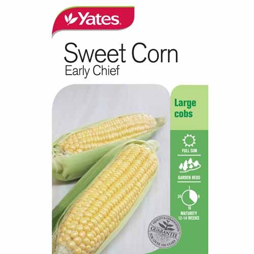 Sweet Corn Early Chief