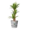 Plastic Pot with Saucer Grey 20cm