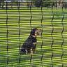 Ngaru Mesh Fence Panel H: 1200mm, W: 2400mm