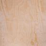 Non-Structural Plywood AD H3.1 Treated 2400 x 1200 x 9mm