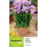 Freesia Double Blue Stormveil 10 pack