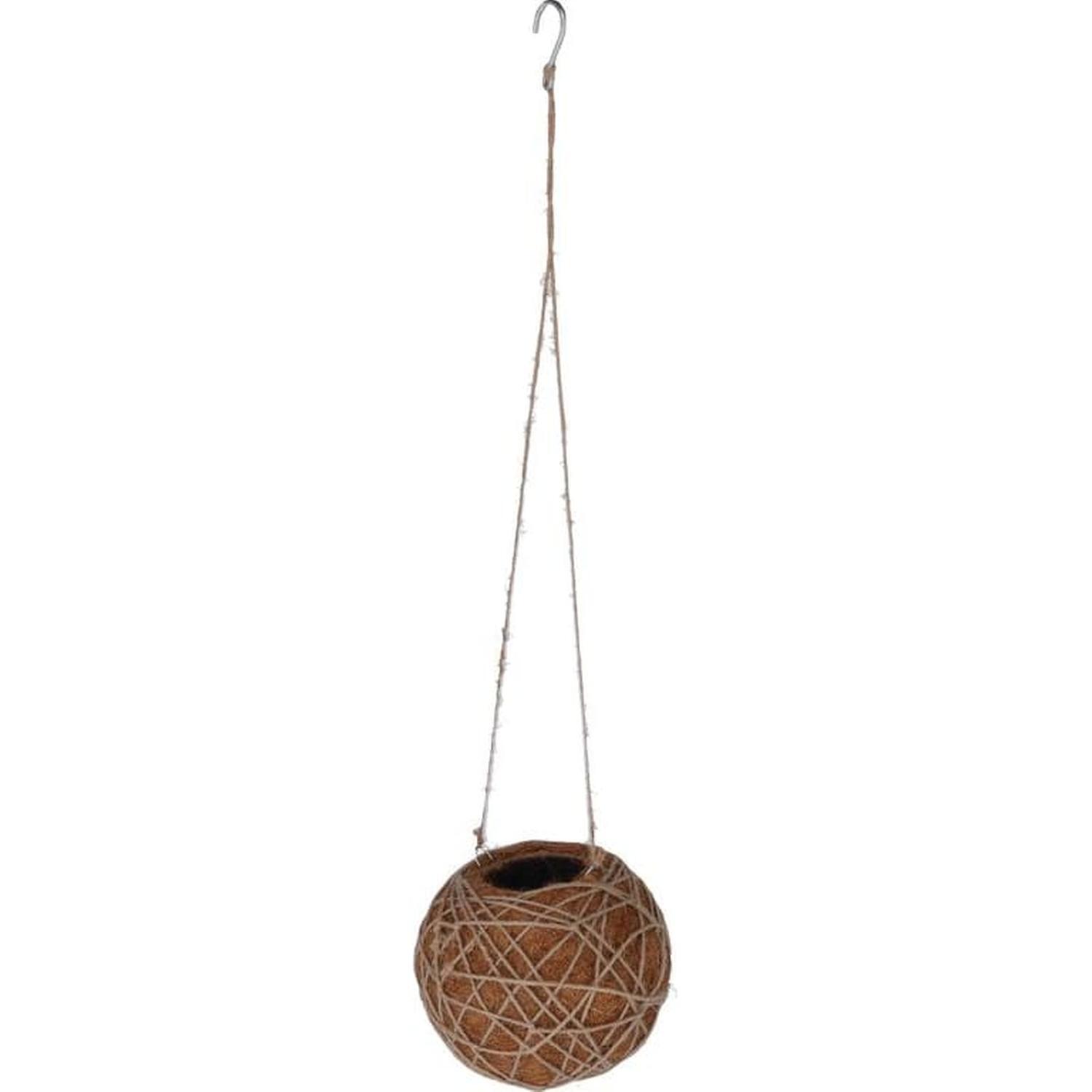Kokedama Indoor Plant Hanger