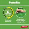 Yates Lawn Fertiliser Twice a Year 3kg
