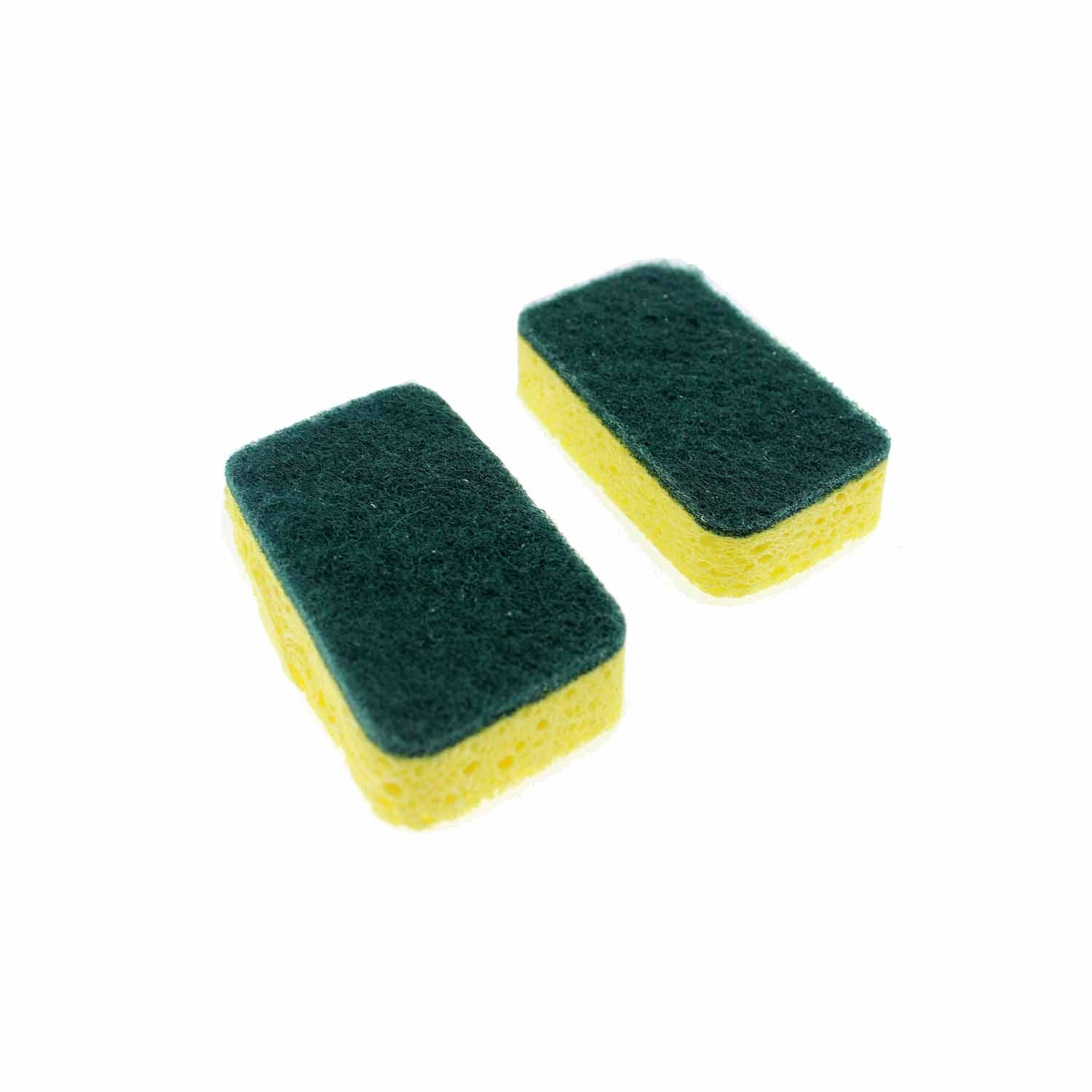 Sponge Scourer