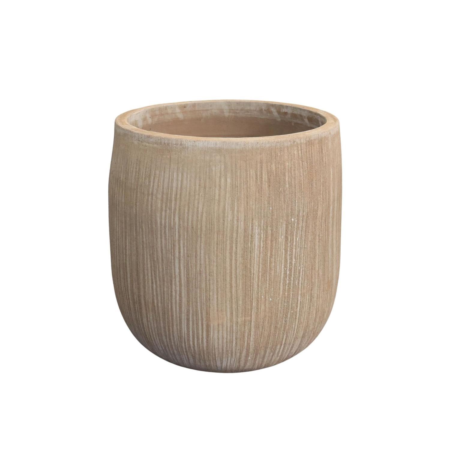 Palm Pot