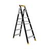 Dual Purpose Ladder