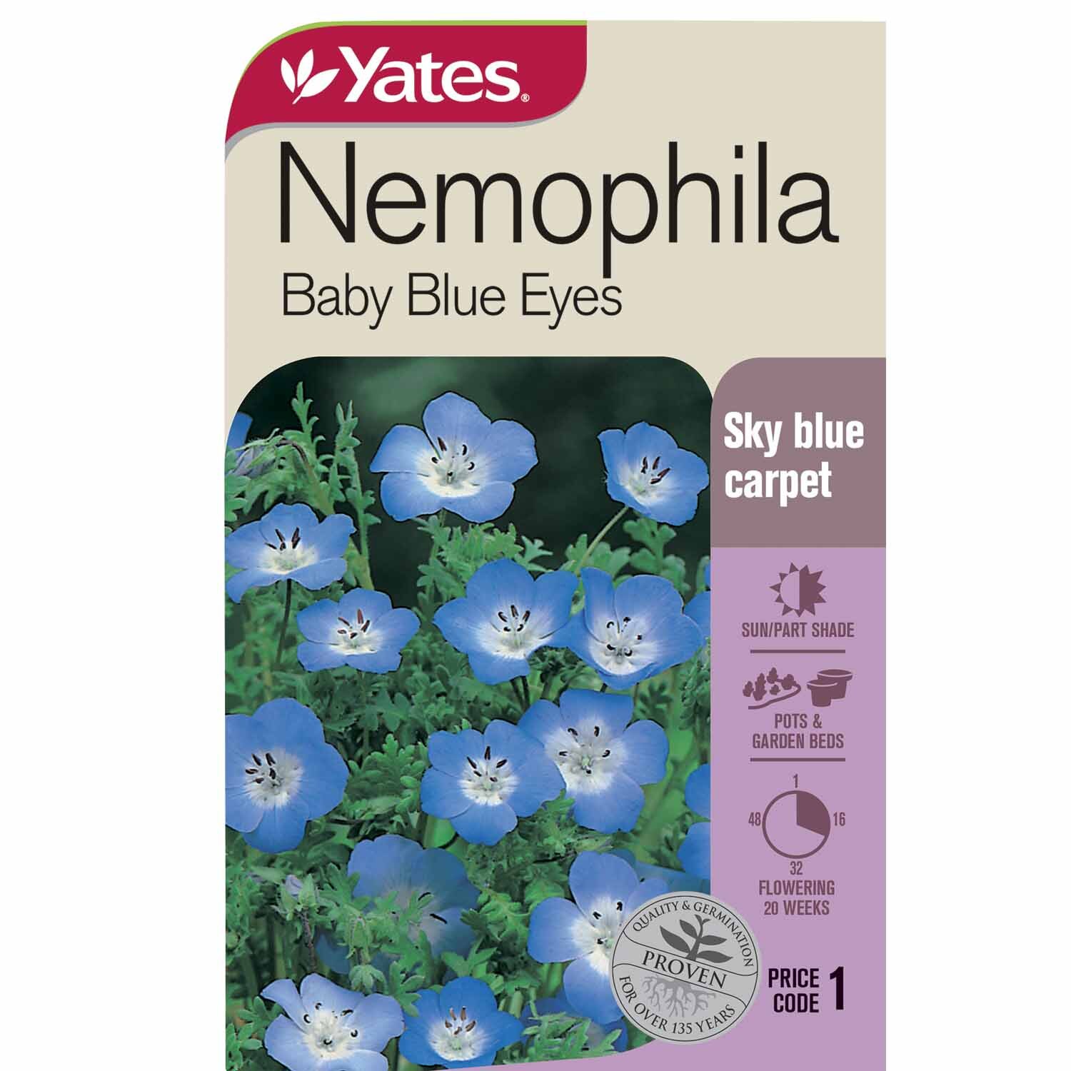 Nemophilia 'Baby Blue Eyes'