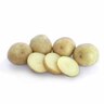 Nadine Seed Potatoes