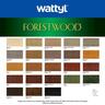 Water Based Deck and Timber Stain