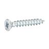 Hinge Screws