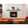 Totara Inbuilt Wood Fire Insert