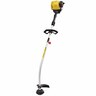 Petrol Line Trimmer, 4-Stroke