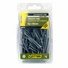 Treated Pine Screws 8g x 60mm Pack of 100 Galvanised