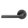 Phoenix Integrated Privacy Graphite Nickel