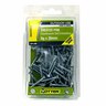 Treated Pine Screws 8g x 30mm Pack of 100 Galvanised