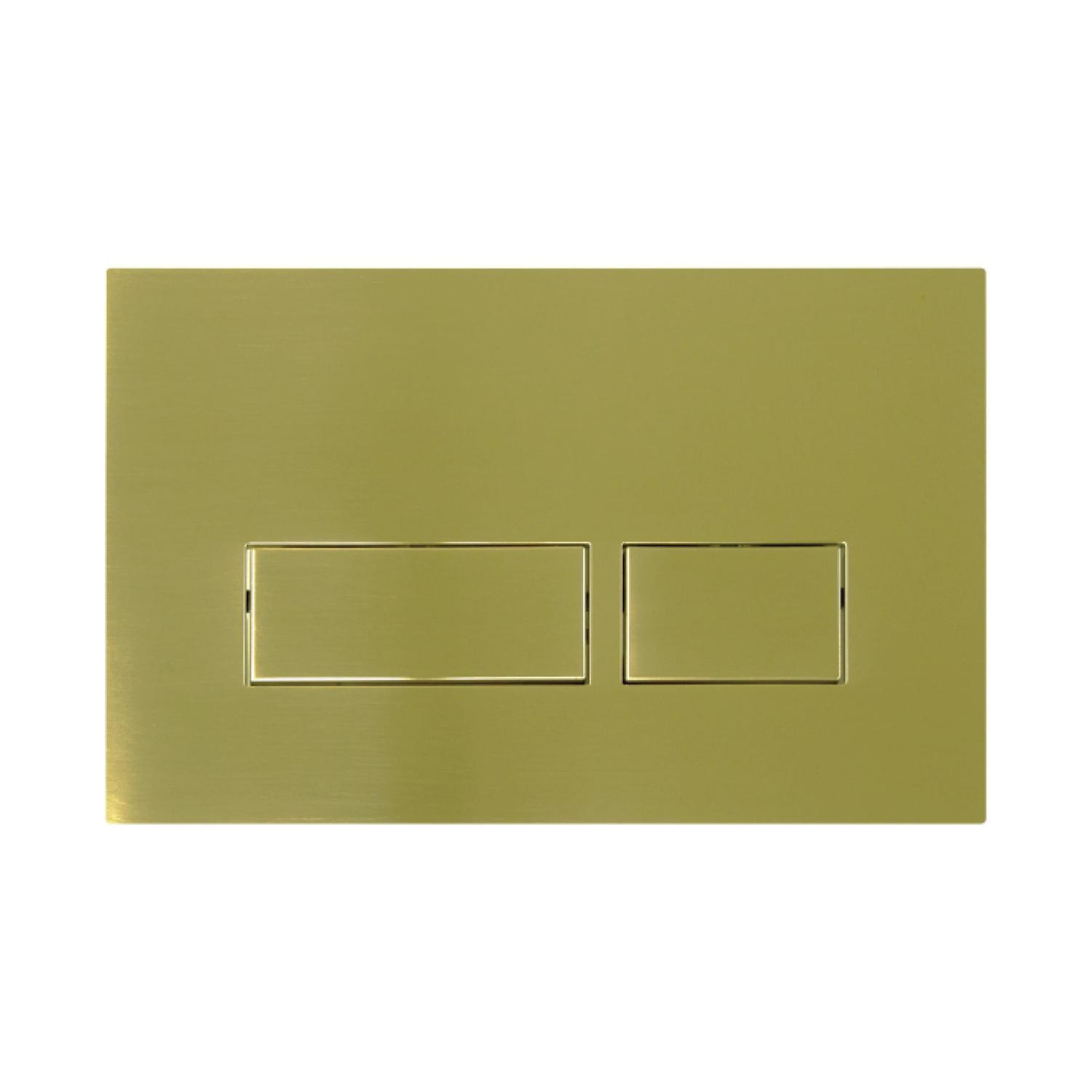 In-Wall Cistern Push Panel