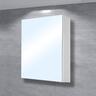 Mirror Cabinet