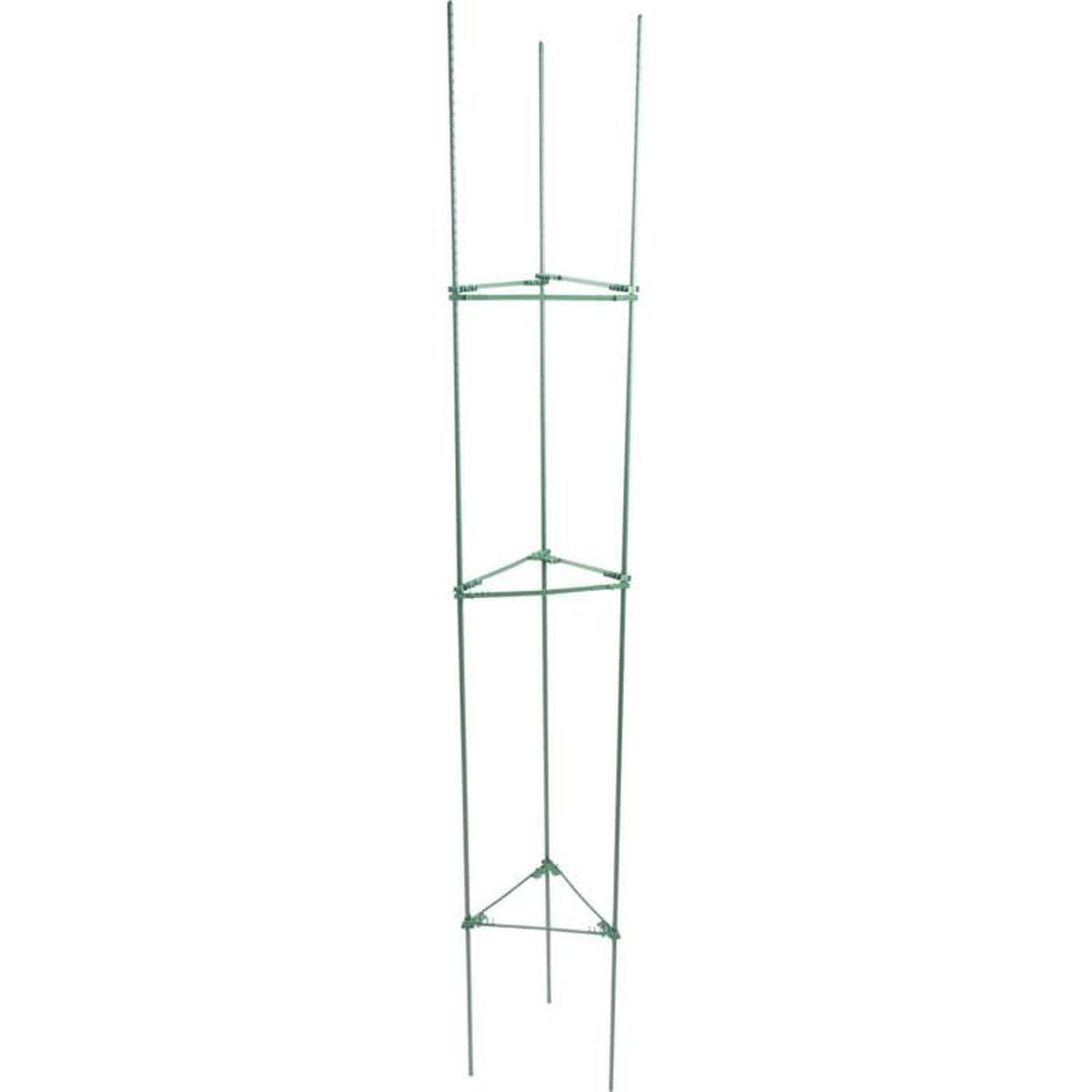 Braced Tomato Frame