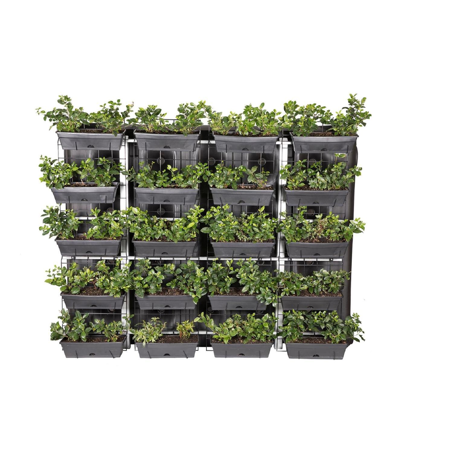Vertical Garden Kit for Slim Jim Tank