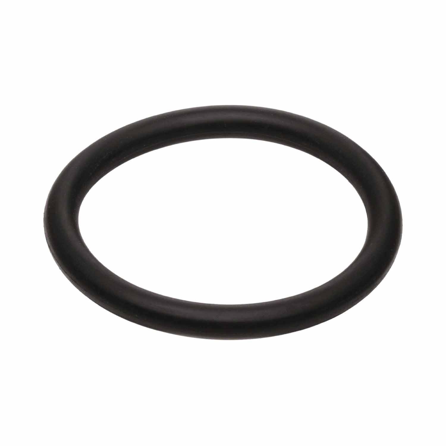 Small O Ring - for Lid Assembly