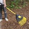 Steel Handle Rake Leaf