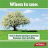 Prickle Weedkiller