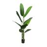 Travellers Palm Artificial Plant 1500mm