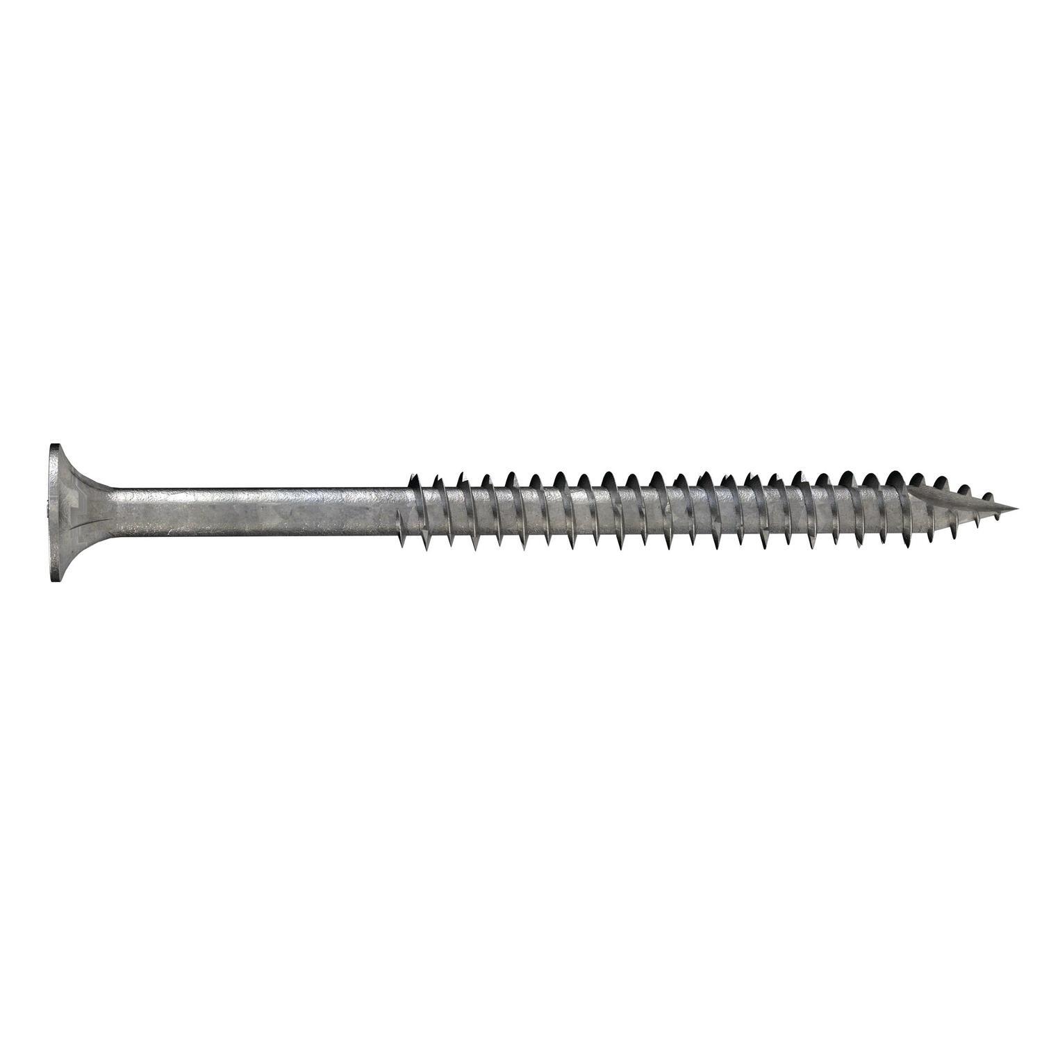 Bugle Batten Screws