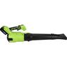 Blower 21 Volt Green & Black