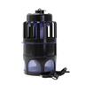 Captivate Insect Trap