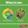 Yates Lawn Seed Sow Anytime 500g