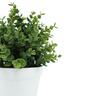 Artificial Eucalyptus Plant in Pot 11cm