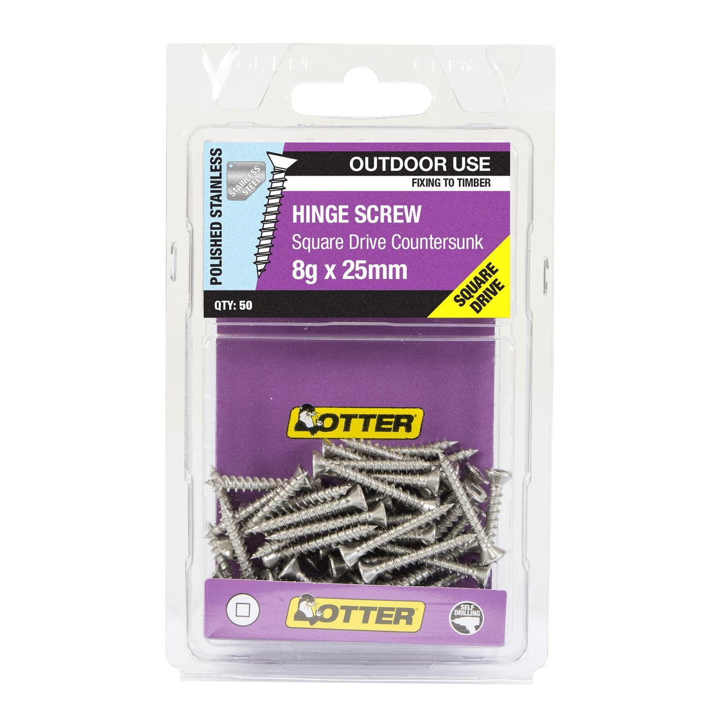 Hinge Screws