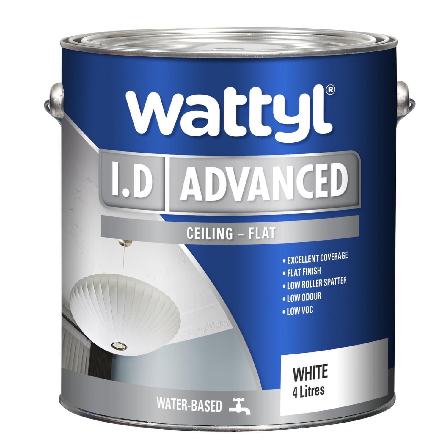 Interior Ceiling Paint