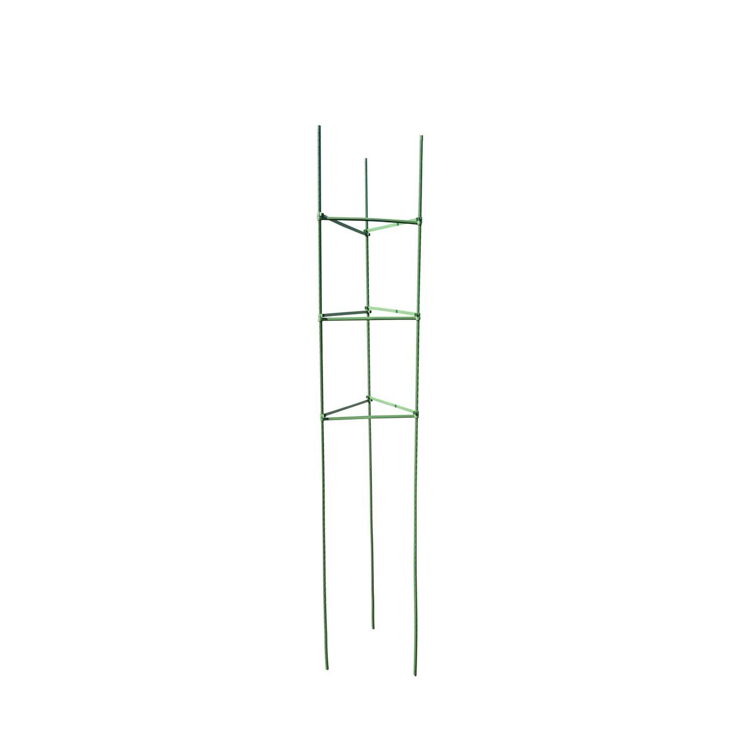 Braced Tomato Frame