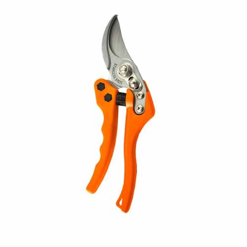 Secateurs