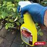 Fungicide Fungus Gun Ready To Use