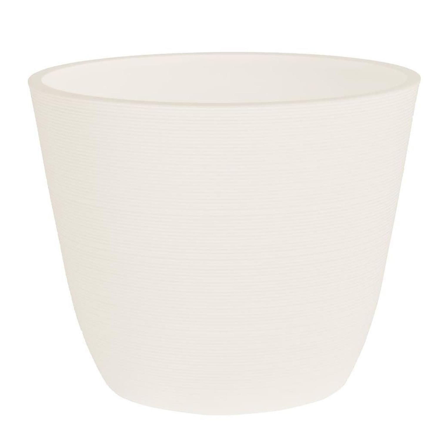 Indoor Egg Pot