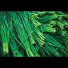 Chives Common