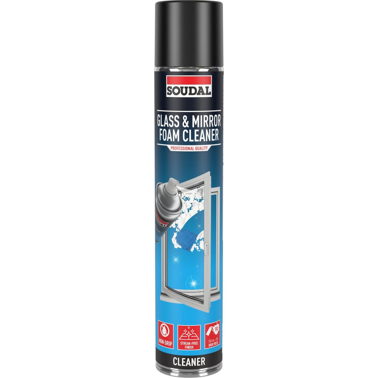 Glass and Mirror Cleaner 750ml