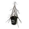 Pseudopanax Ferox 3.3L
