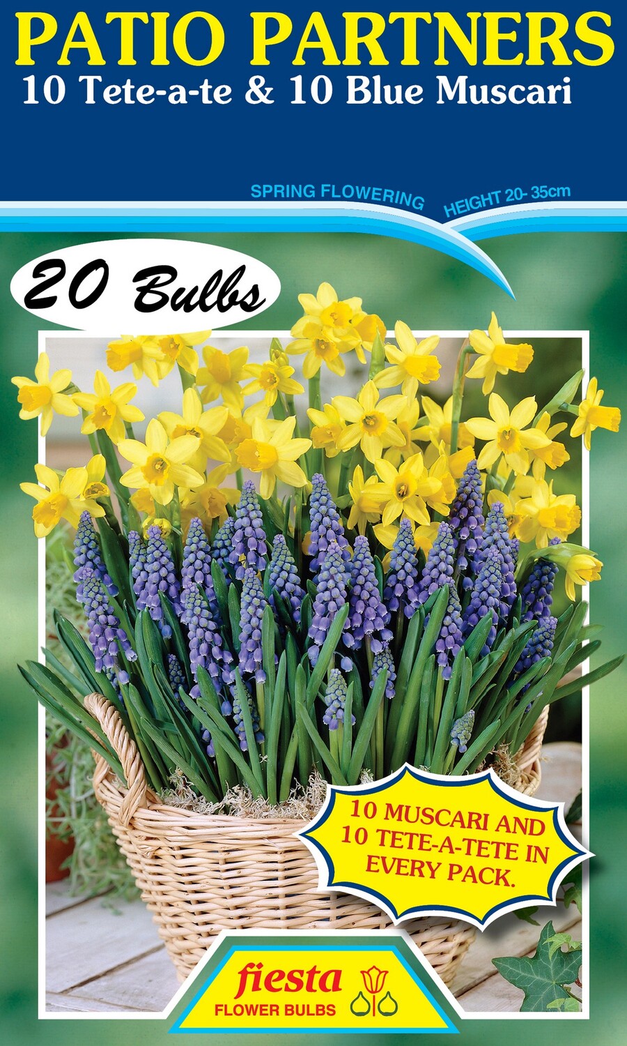 Patio Partner (Daffodil Muscari) 20 Pack
