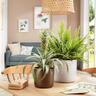 Indoor Cottage Cup Pot White 12.5cm 111 x 122 x 122mm