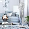 Pedestal Fan