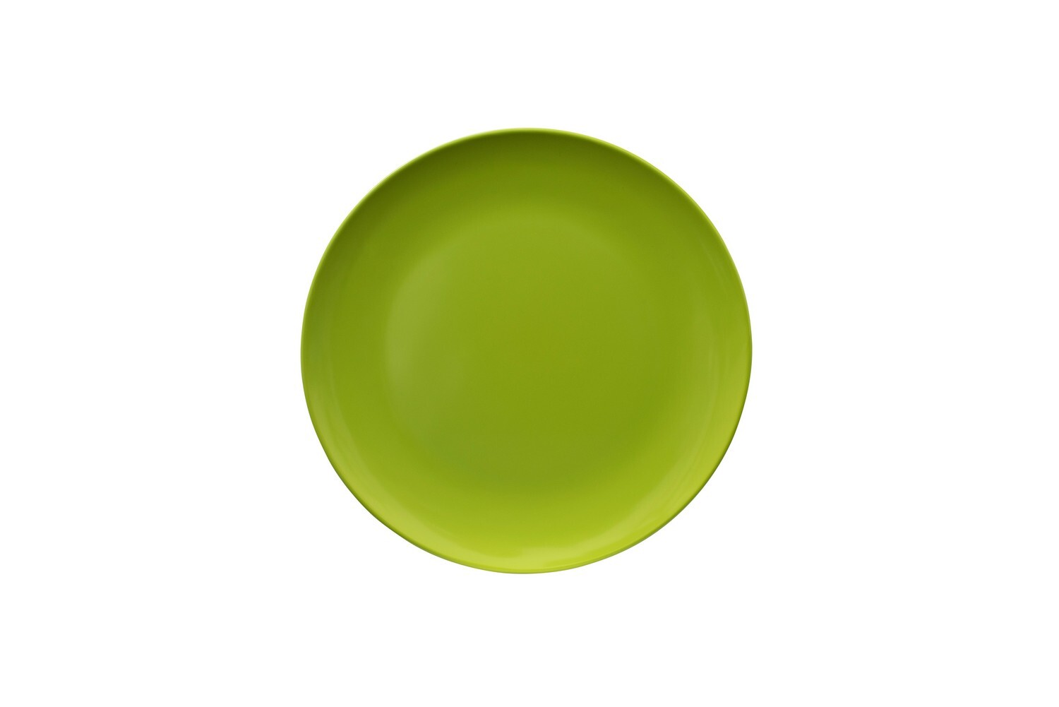 Melamine Dinner Plate