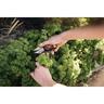 Solid Herb Snip