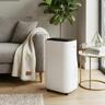 Electronic Dehumidifier 16L White